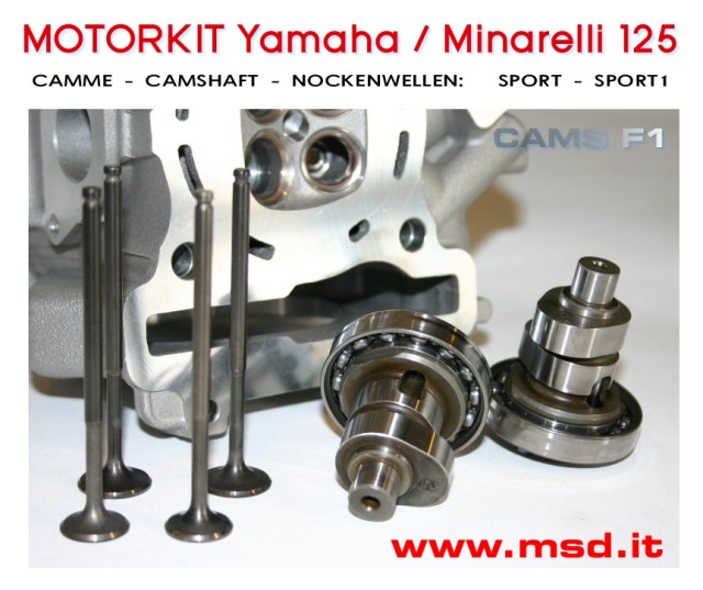 Yamaha Minarelli 125 - CAMS F1